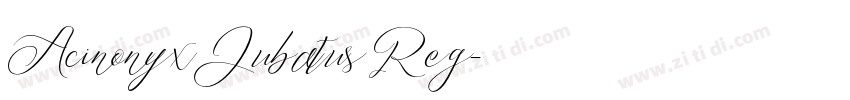 Acinonyx Jubatus Reg字体转换
